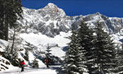 M__rz2008_032_2.jpg