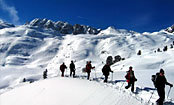 M__rz2008_109_2.jpg