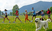 Nordic Walking in Ramsau am Dachstein