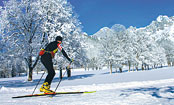 Cross country skiing in Ramsau